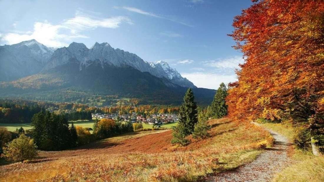 Готель Alpenhof Грайнау Екстер'єр фото